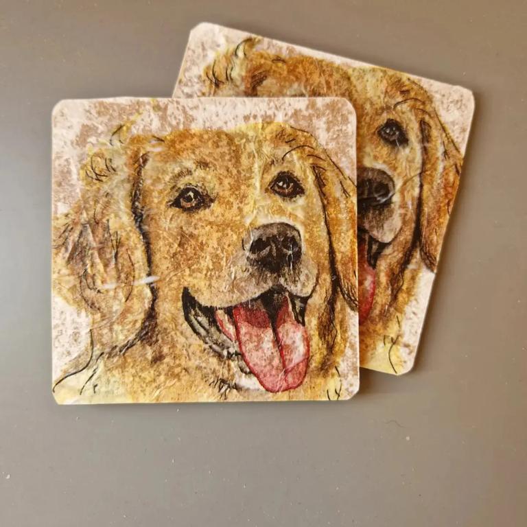 Labrador Design