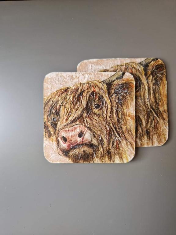 Highland Cow Design