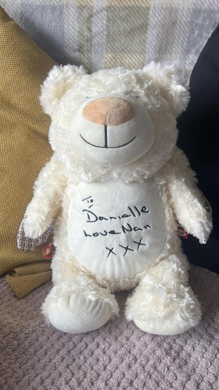 Memory Cubbies Teddy